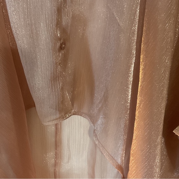 Sheer Metallic Oversized Organza Blouse - Brand New Never Worn has extra button - Picture 4 of 8